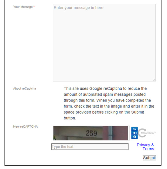 Google reCaptcha set up on a form