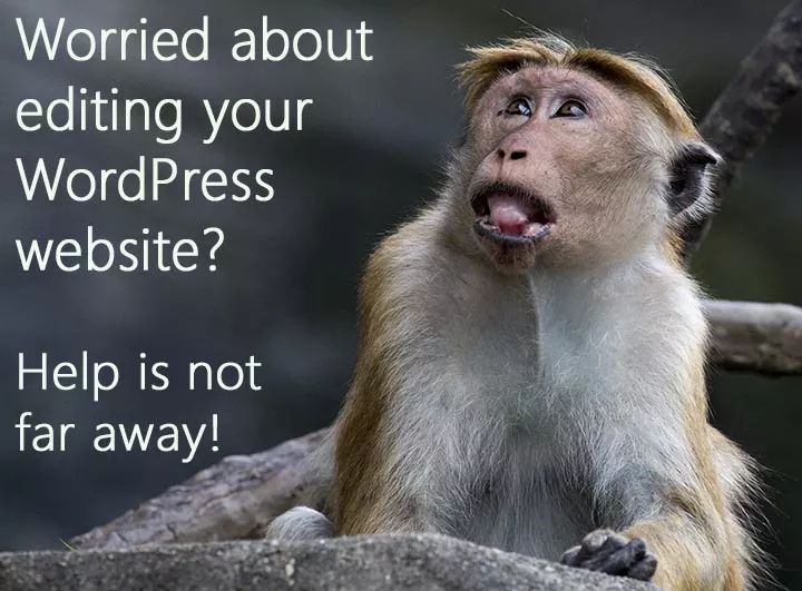 Worried about editing your site